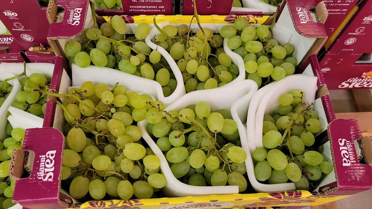 Uva vittoria - Puglia- 2,50 euro al chilogrammo